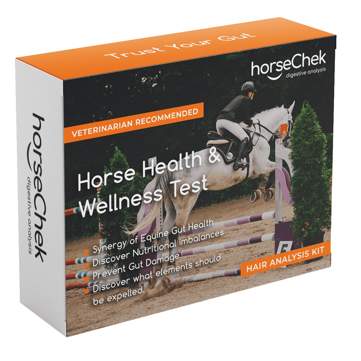 horse-gut-health