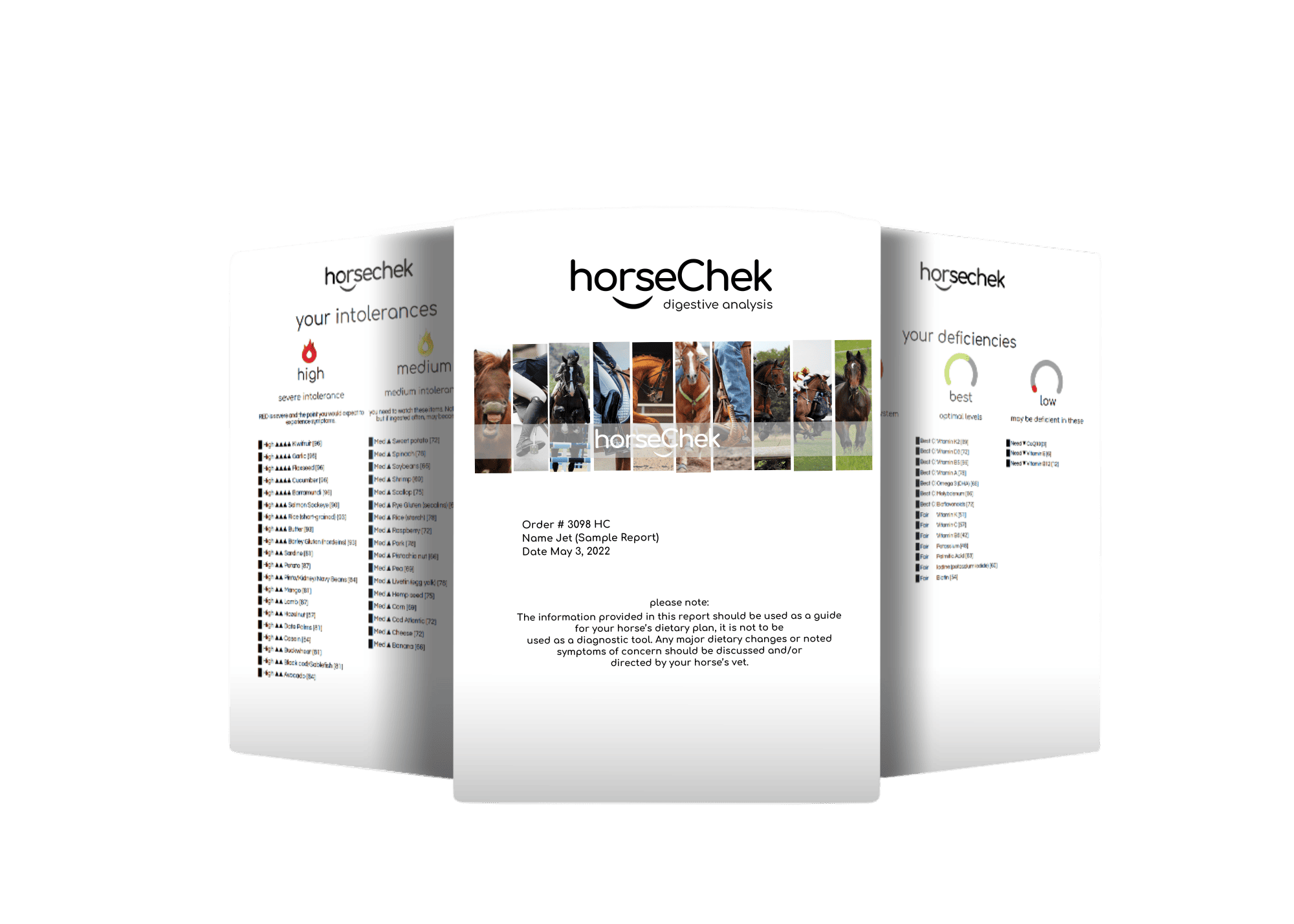 horseChek updated report (1)